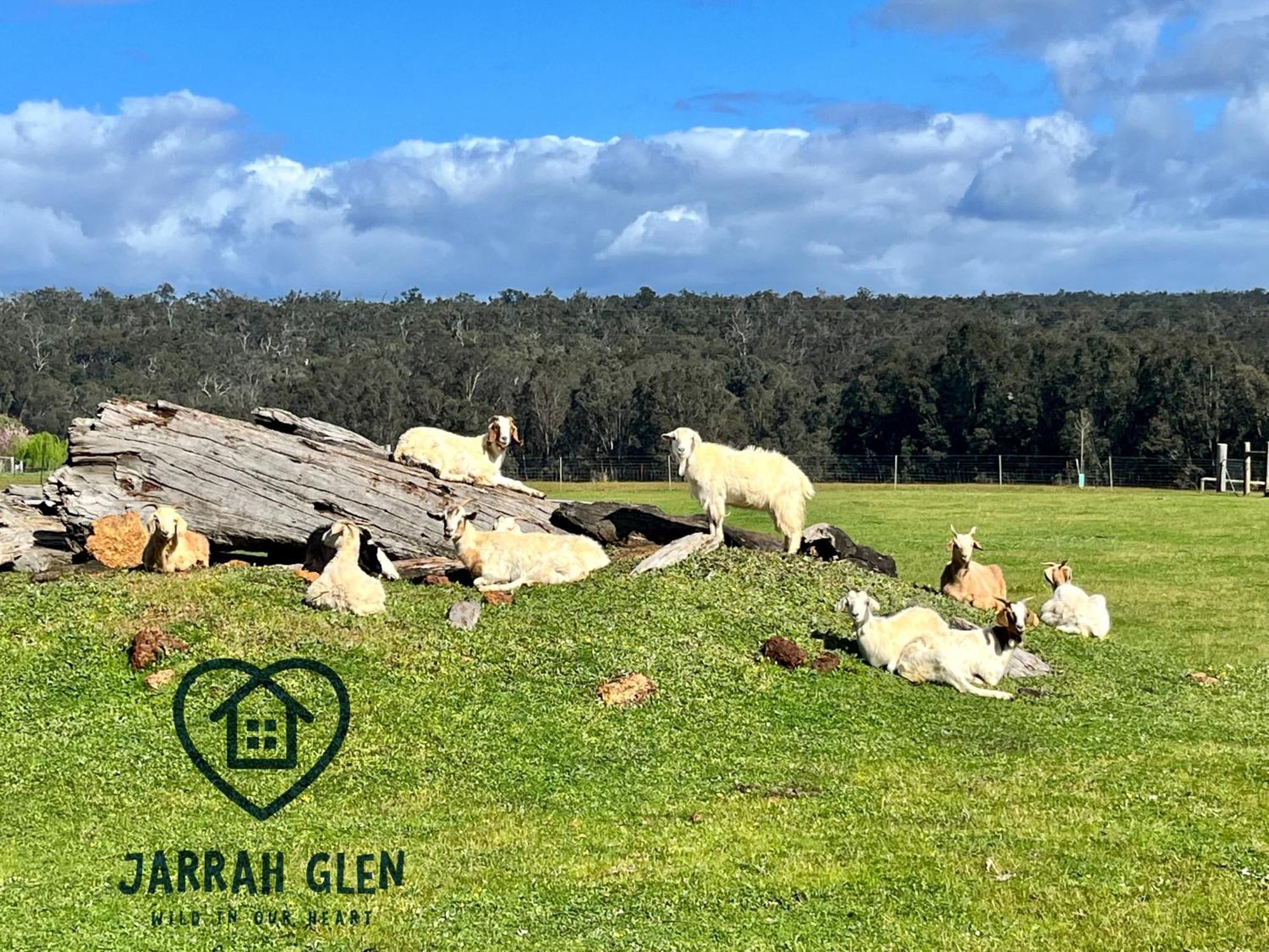 Jarrah Glen Cabins Nannup Kültér fotó