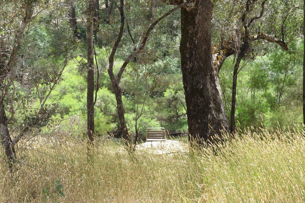 Jarrah Glen Cabins Nannup Szoba fotó