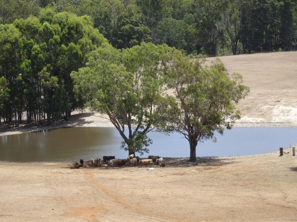 Jarrah Glen Cabins Nannup Kültér fotó
